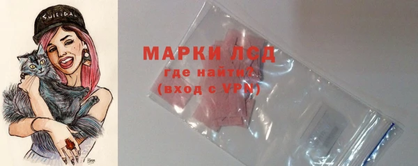 PSILOCYBIN Заволжье