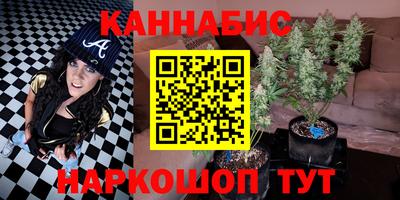 сатива Жуковский