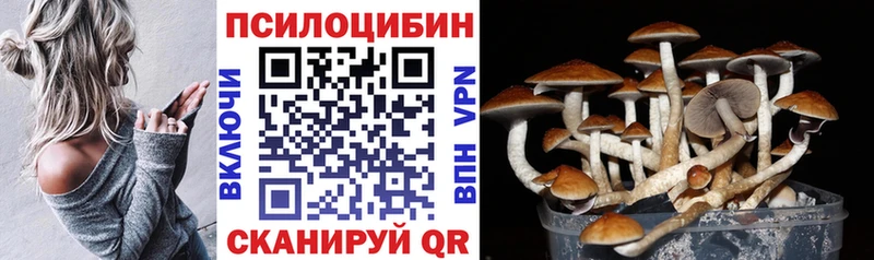 дарнет шоп  Мурманск  мега ONION  Псилоцибиновые грибы Cubensis 