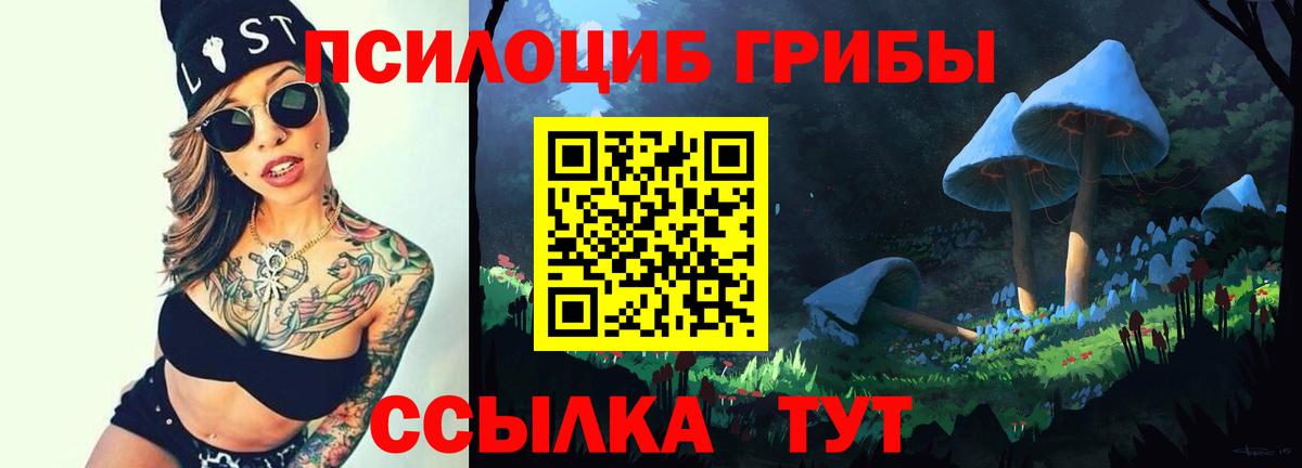 Псилоцибиновые грибы Cubensis  Вход с VPN  где купить   Мурманск 