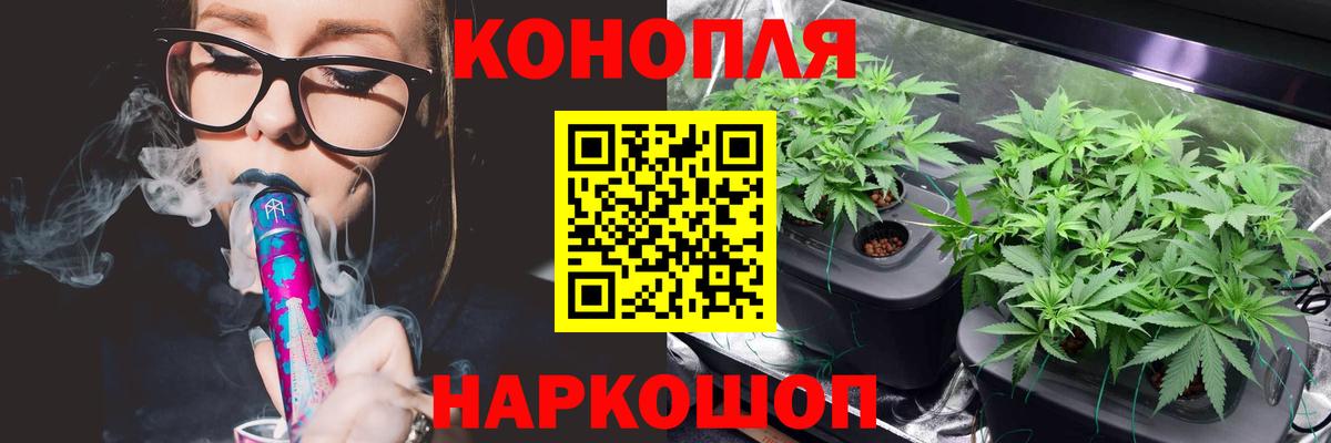 Бошки марихуана сатива  Вход с VPN  Мурманск  Канабис гибрид  Бошки Шишки LSD WEED  МАРИХУАНА THC 21% 